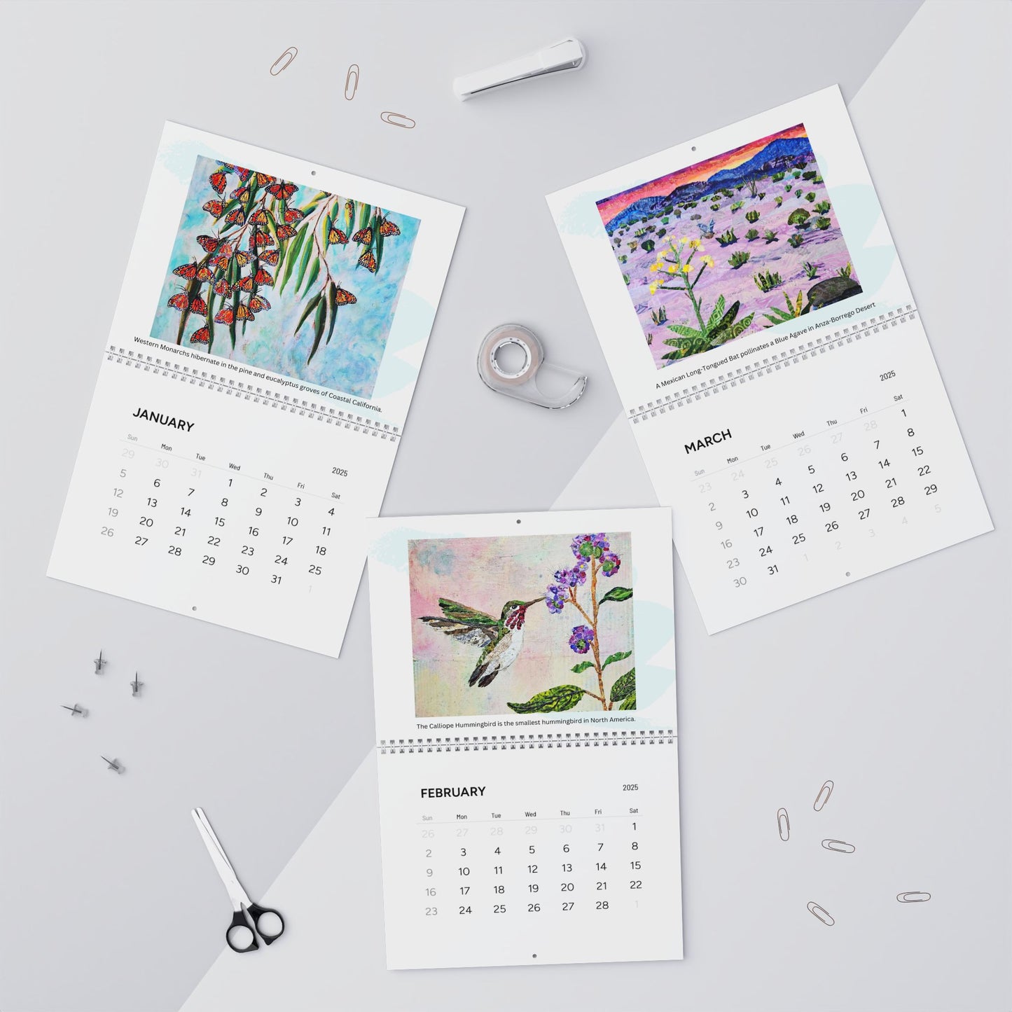 2025 Native Pollinator Calendar by Natasha Monahan Papousek