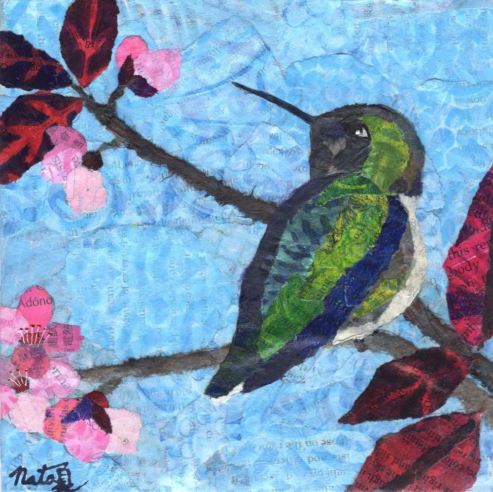 Anna Hummingbird
