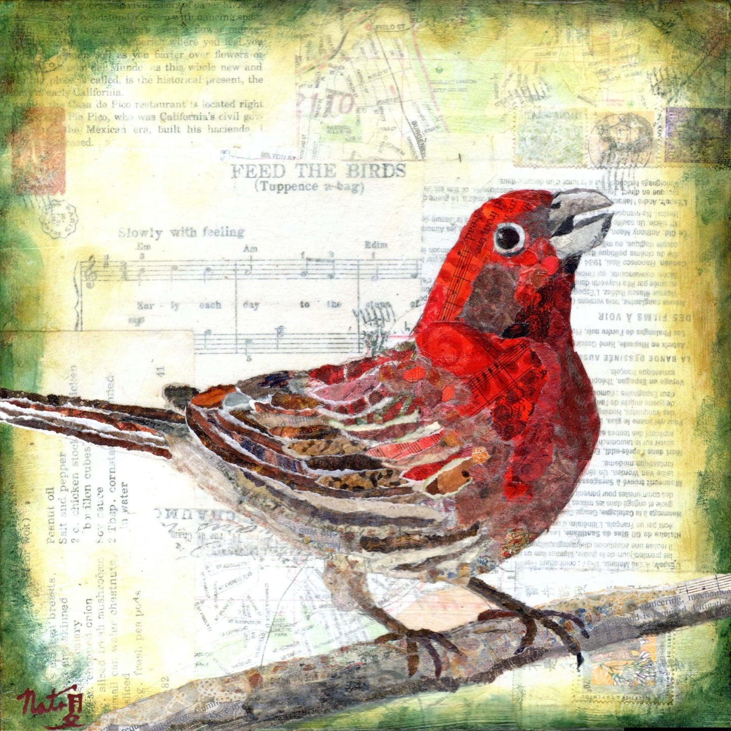 Backyard Birds- Mr. Housefinch