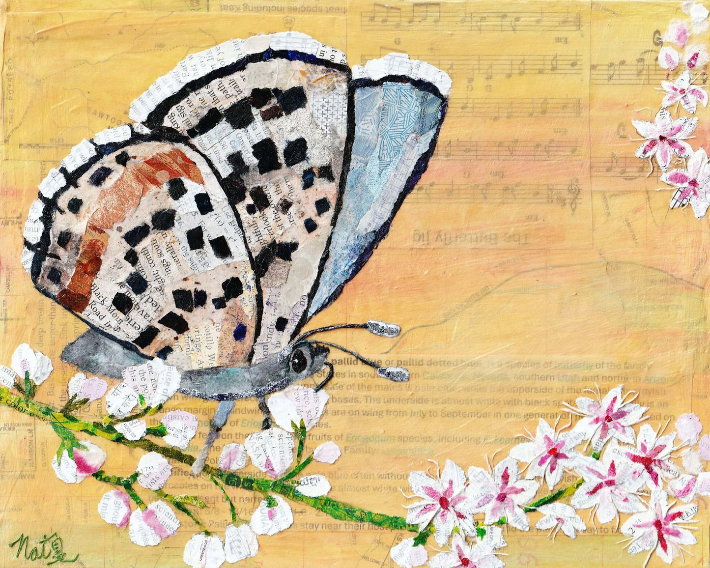 Bees, Butterflies and Beyond: Native Pollinator Series: Pallid Blue-Dotted Butterfly