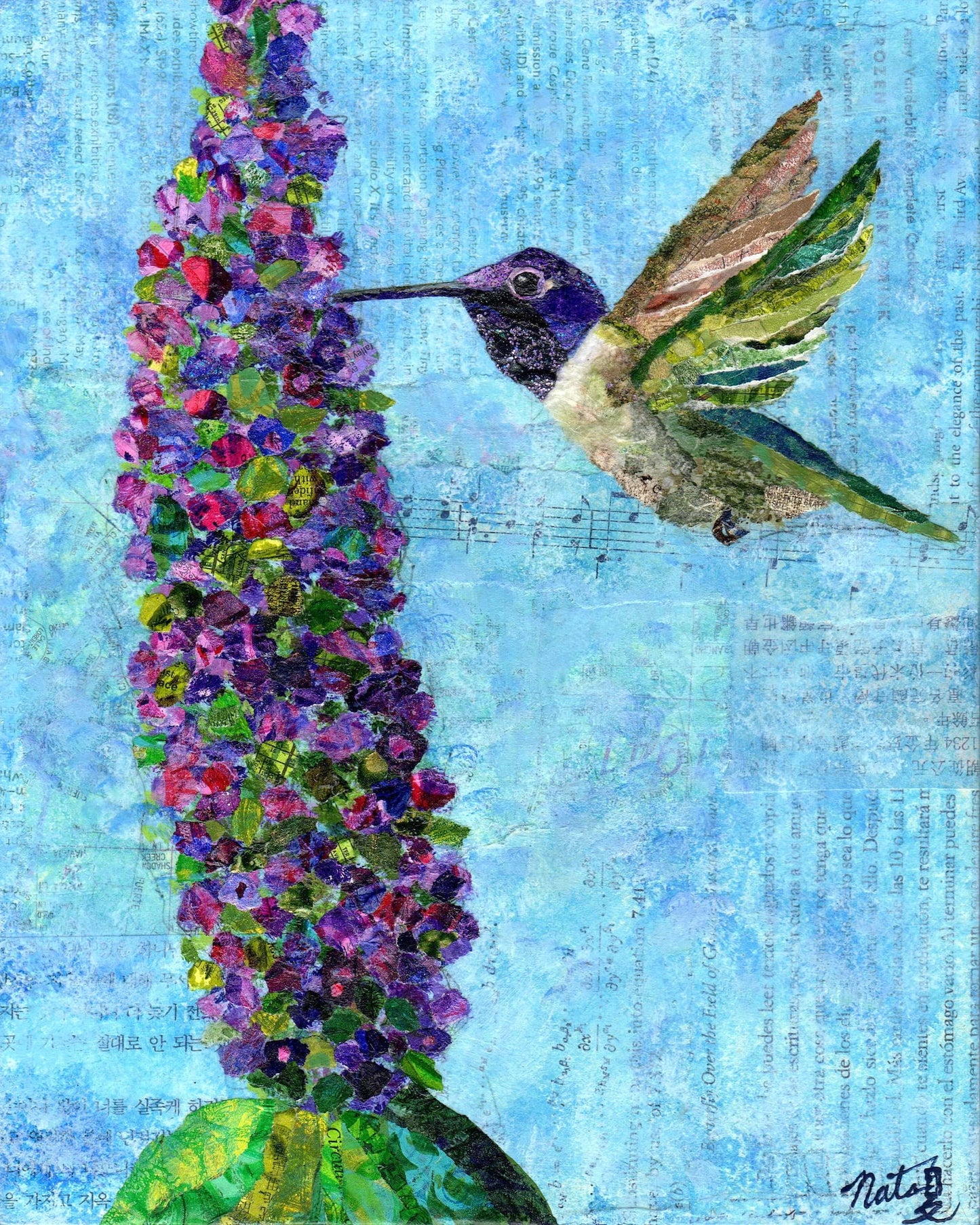 Jewels Of The Sky Black Chinned Hummingbird