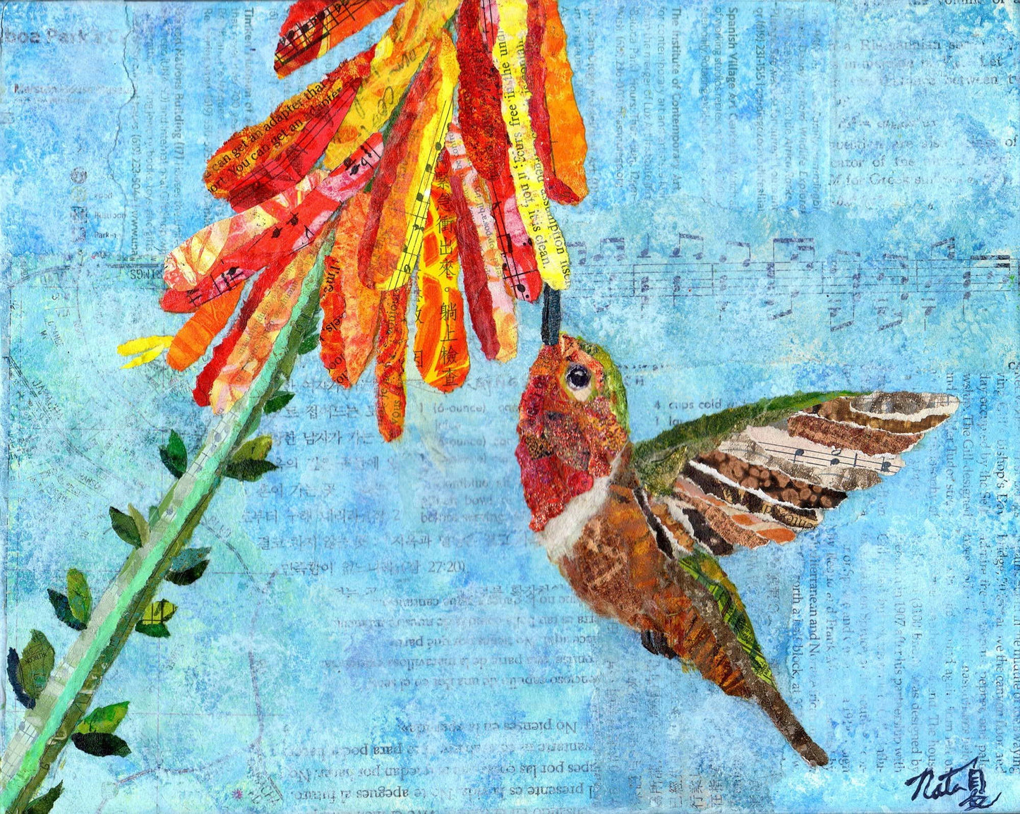 Jewels Of The Sky Rufous Hummingbird