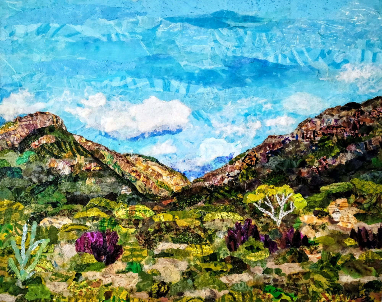 Landscapes: Mission Trails Vista