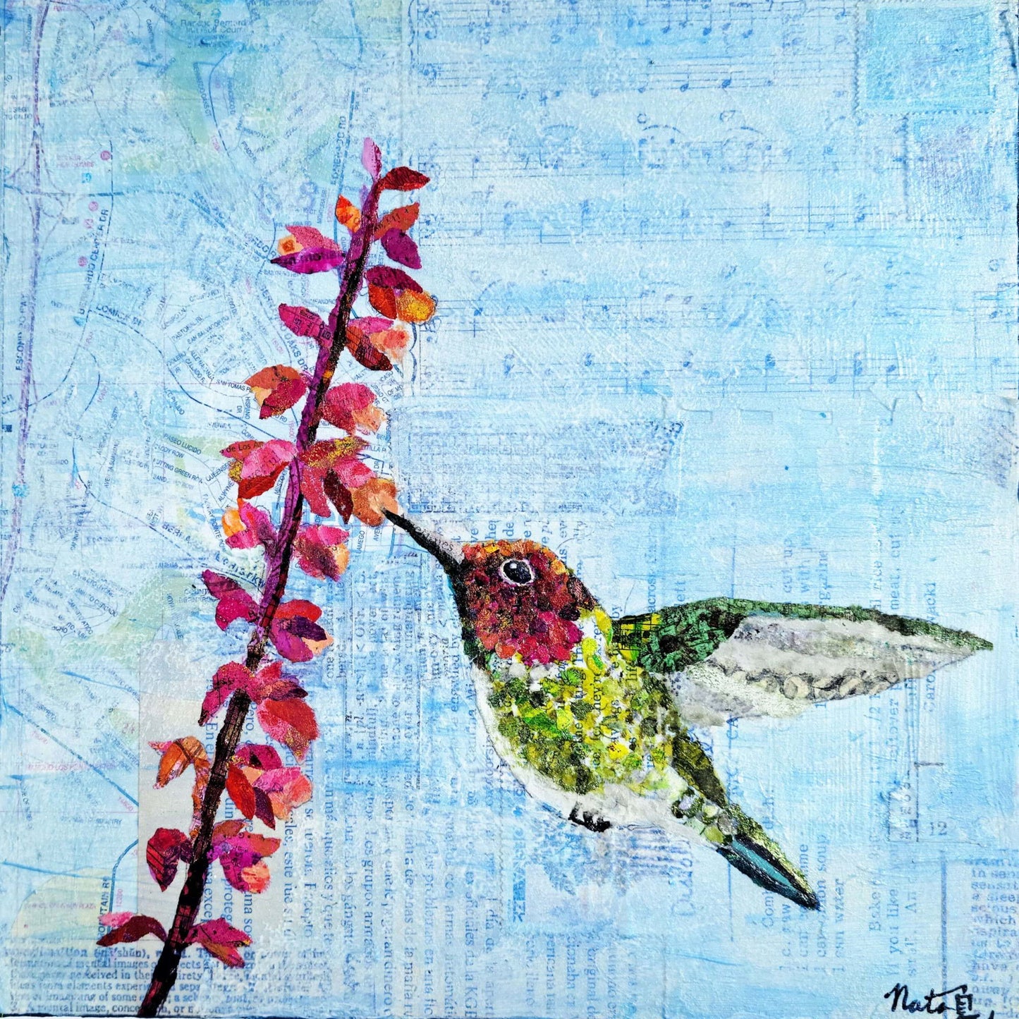 Backyard Birds: Mr Annas Hummingbird