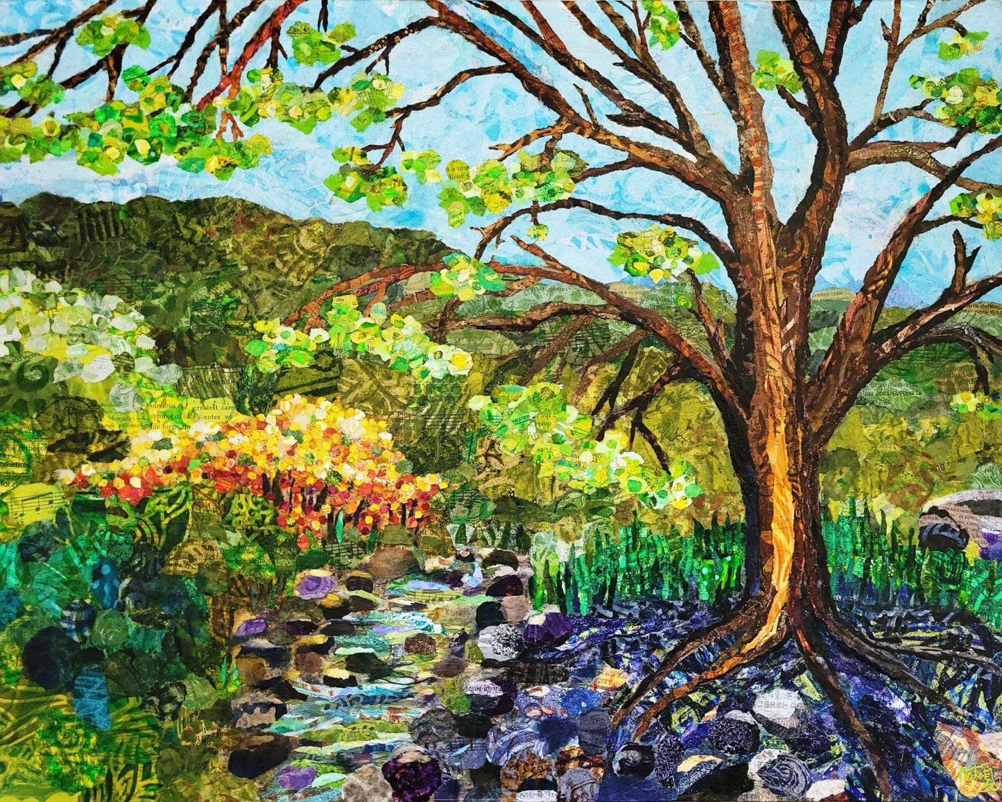 Landscapes: Spring Along the Oak Grove Trail