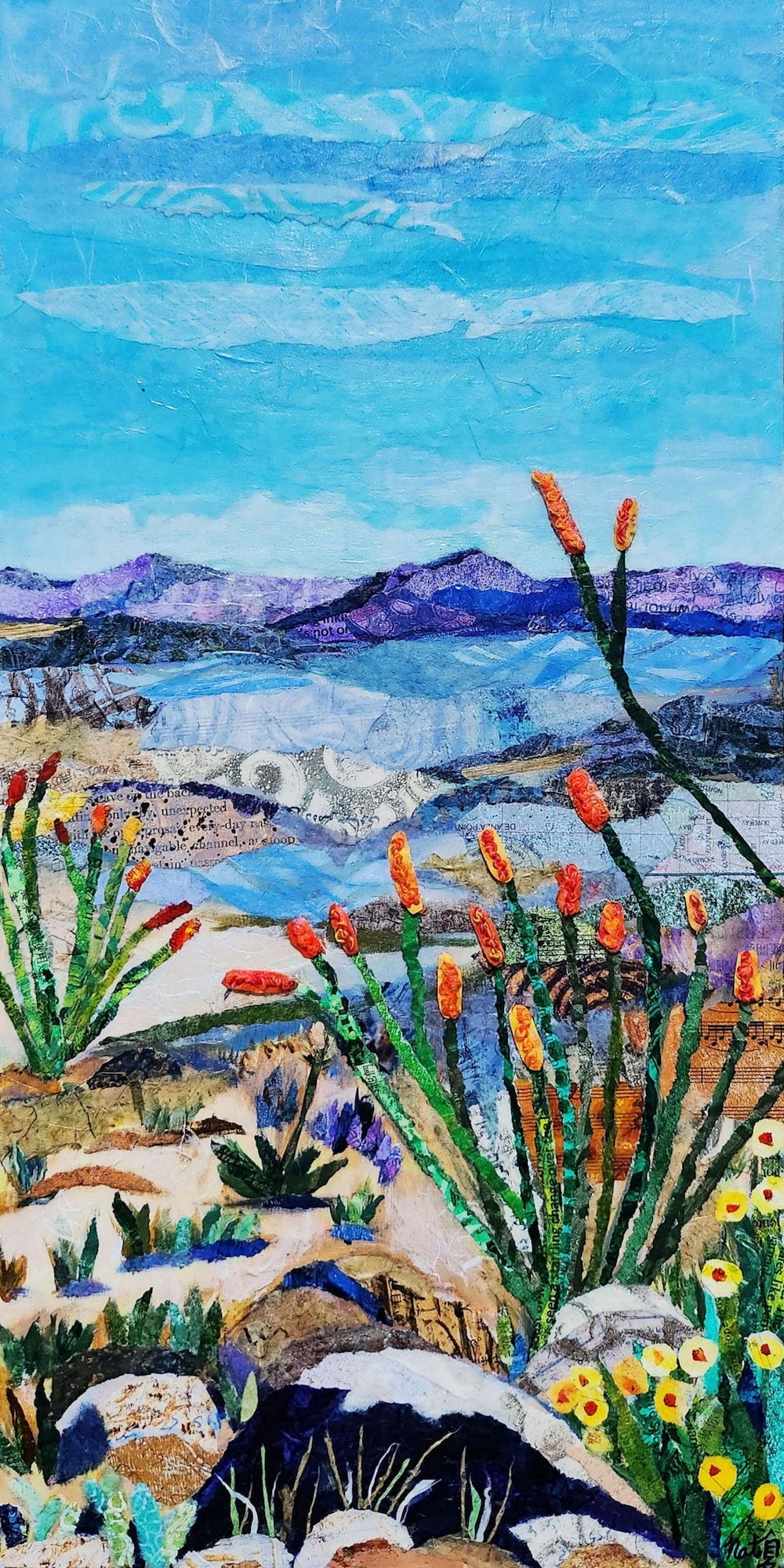 Ocotillo Vista