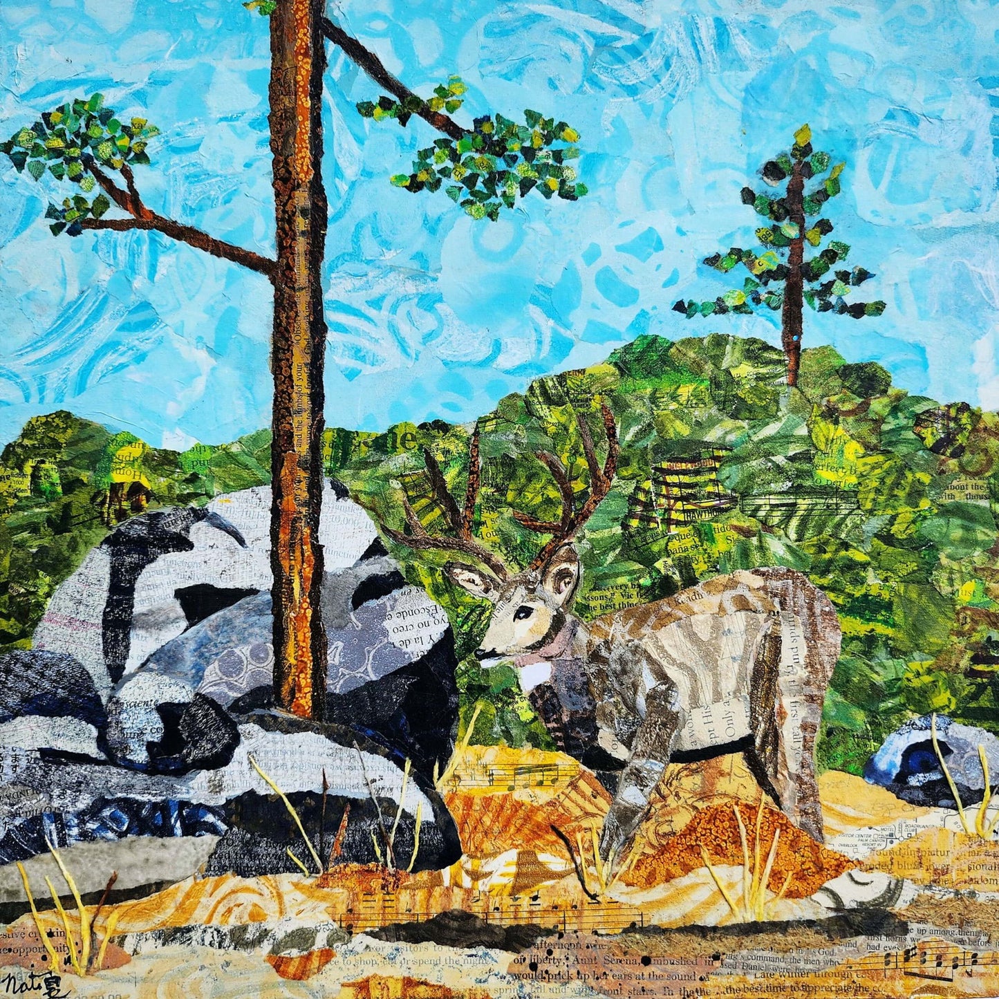 Wild Neighbors Mule Deer