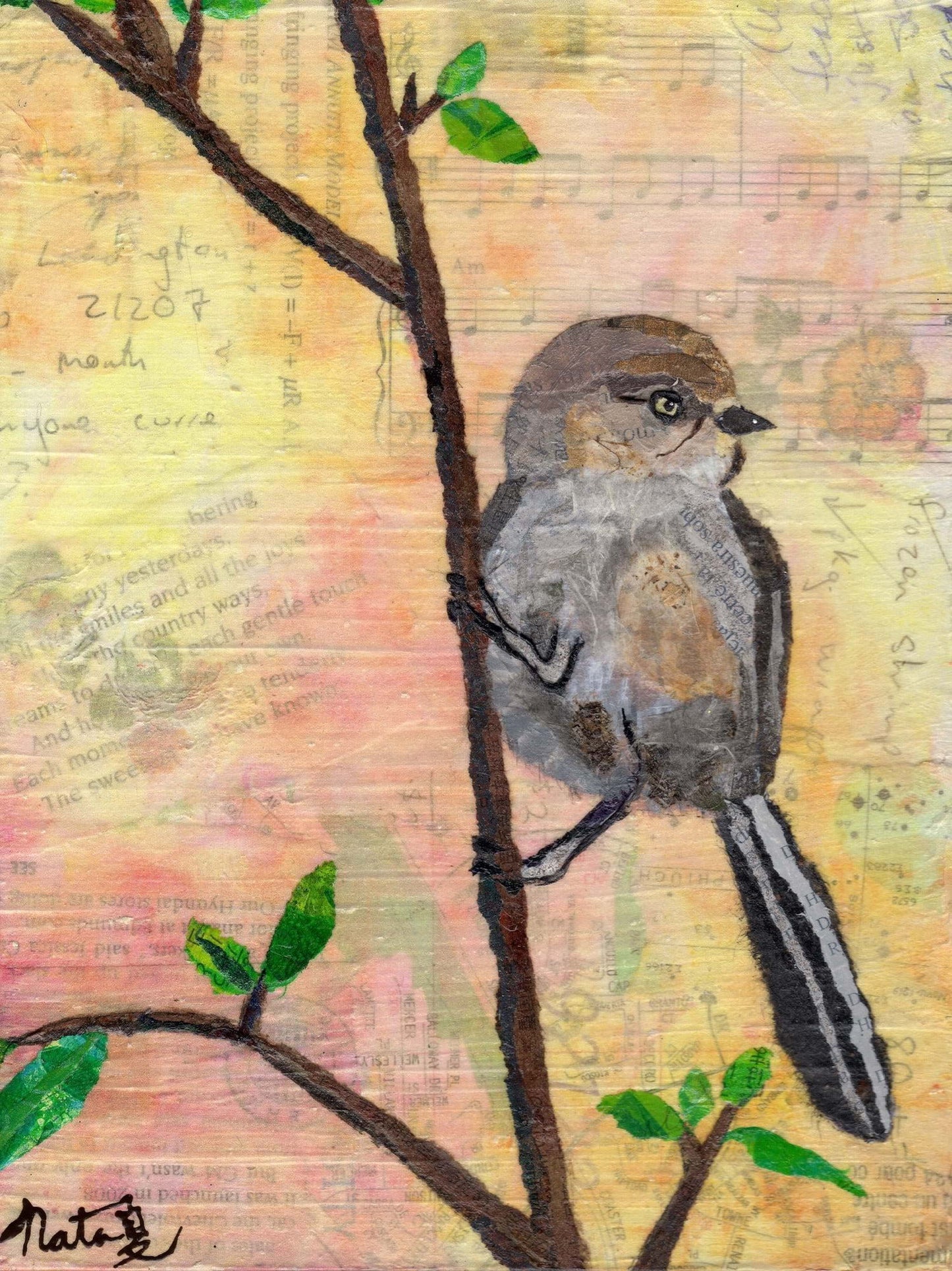 Backyard Birds- Pacific Bushtit