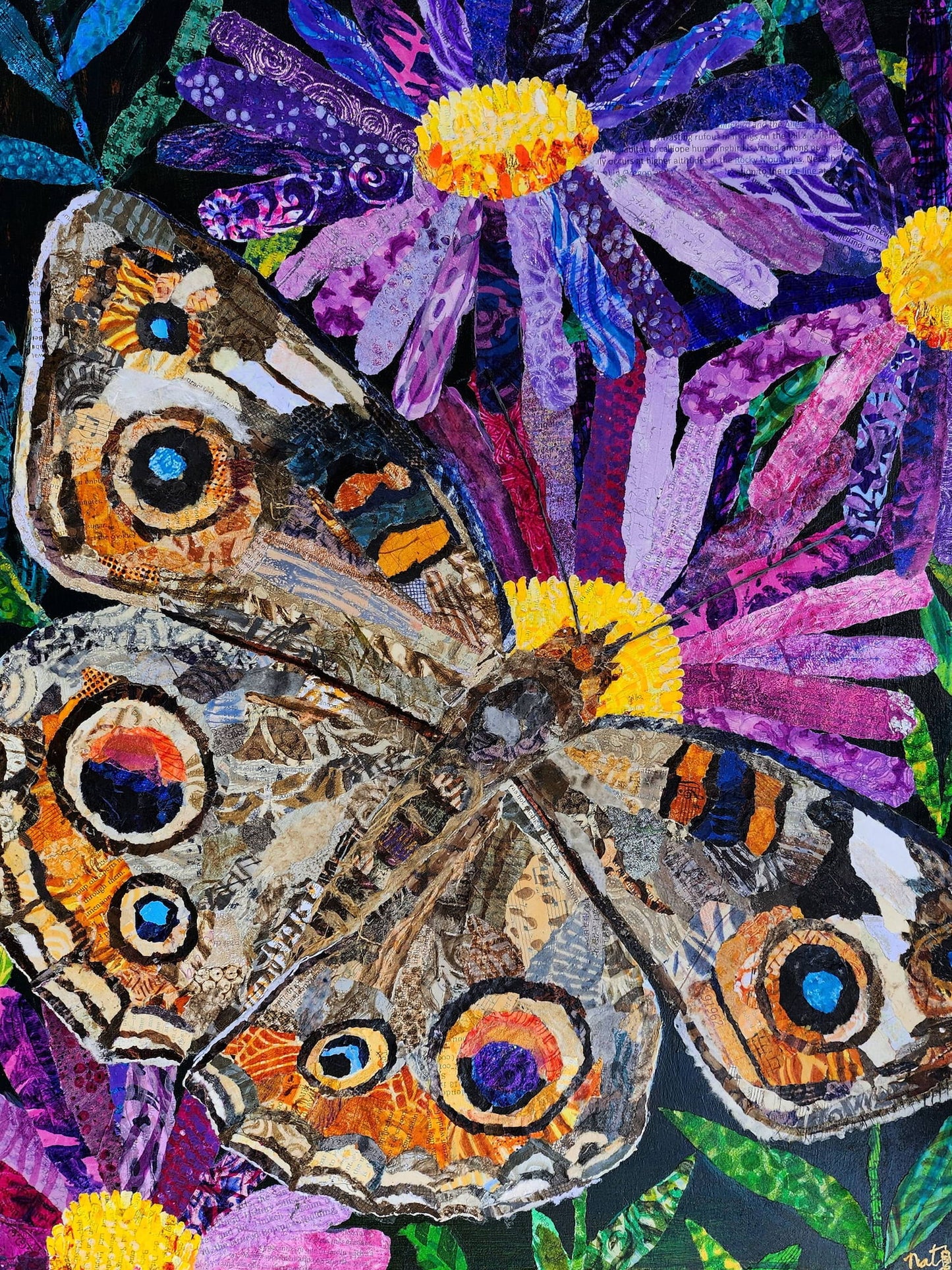 Bees, Butterflies and Beyond: Native Pollinator Series: Common Buckeye Butterfly