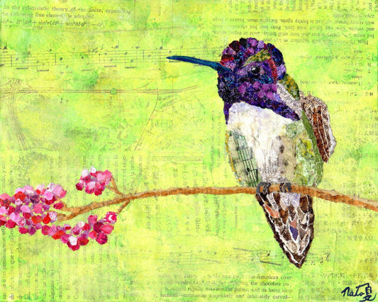 Jewels Of The Sky Costas Hummingbird