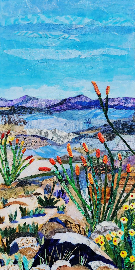Ocotillo Vista