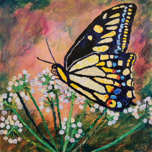 The Very Very Hungry Anise Swallowtail Butterfly