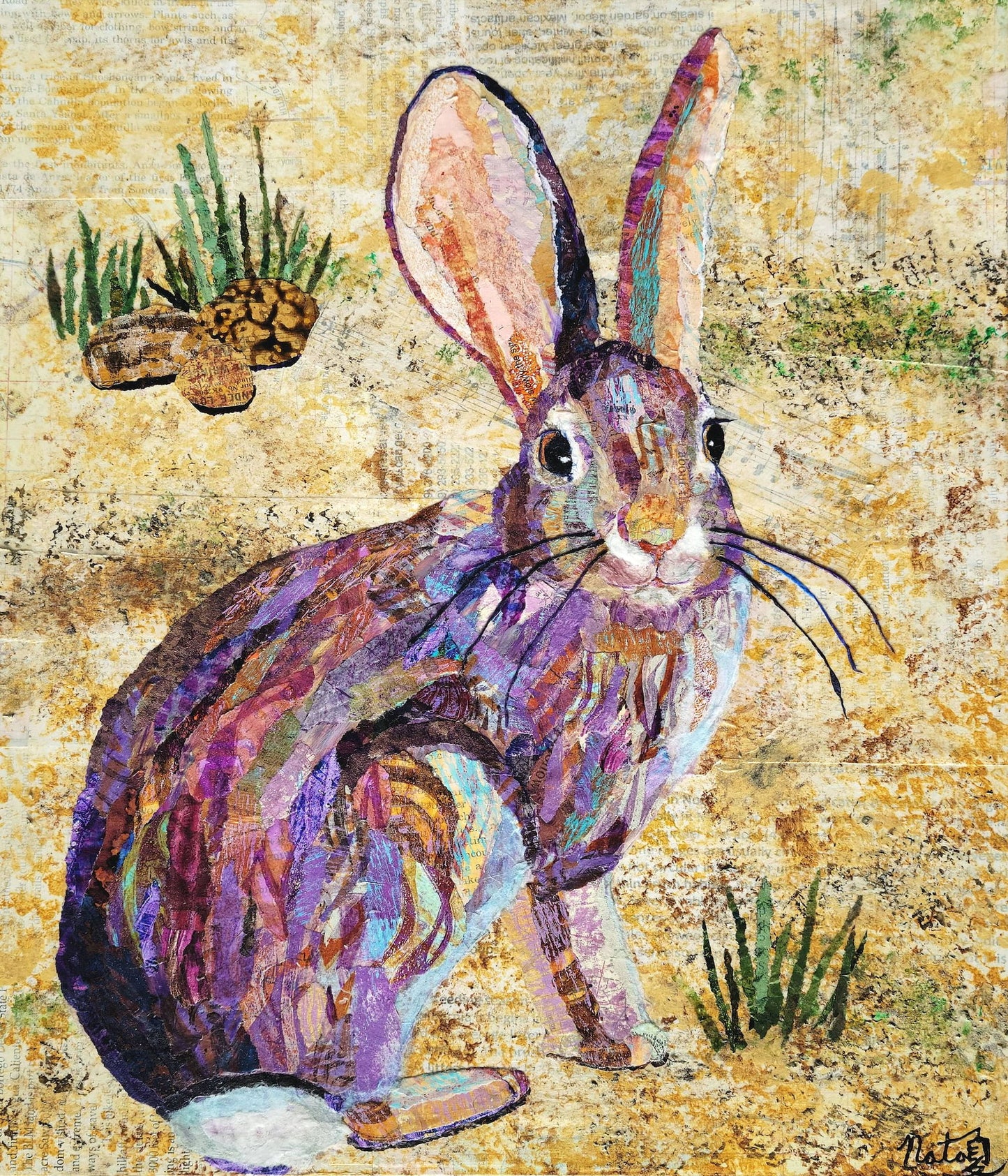 Wild Neighbors: Brush Rabbit